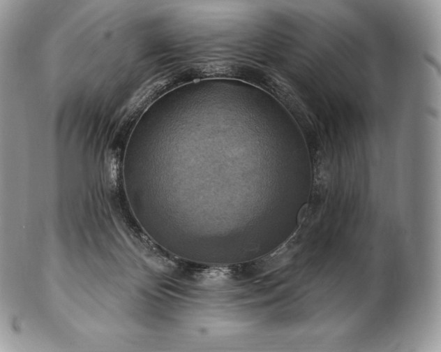 X0000101160124200807071207