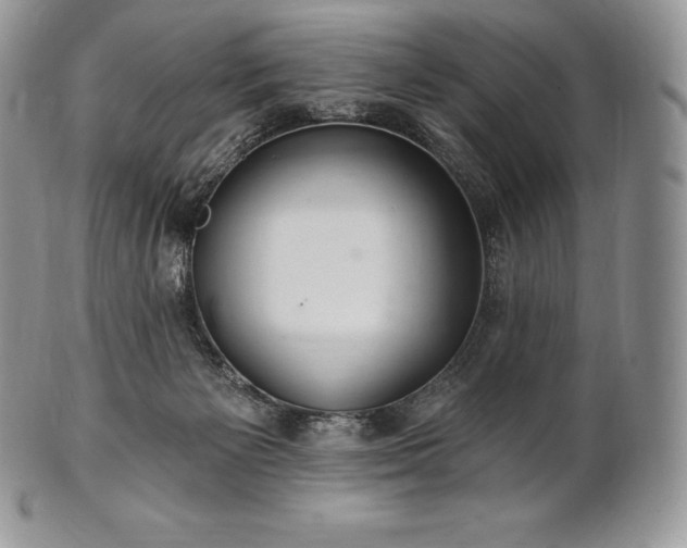 X0000101160125200807071207