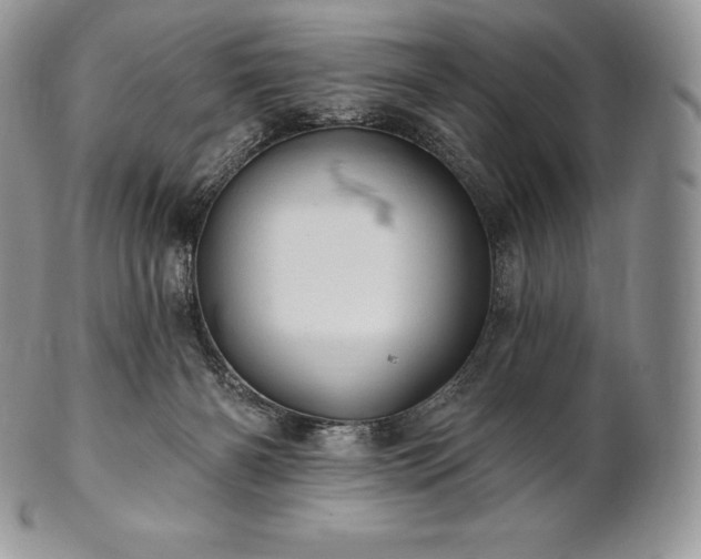 X0000101160126200807071207