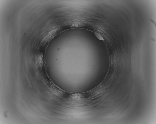 X0000101160127200807071207