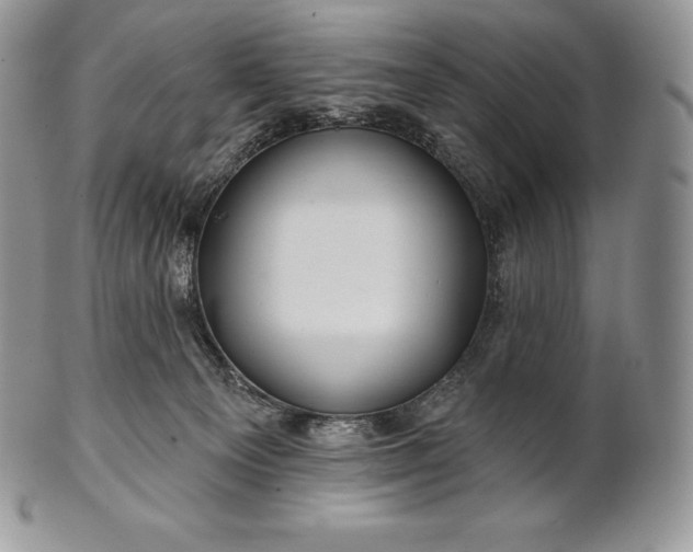 X0000101160129200807071207