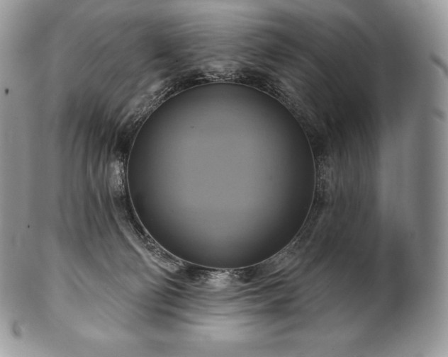 X0000101160130200807071207