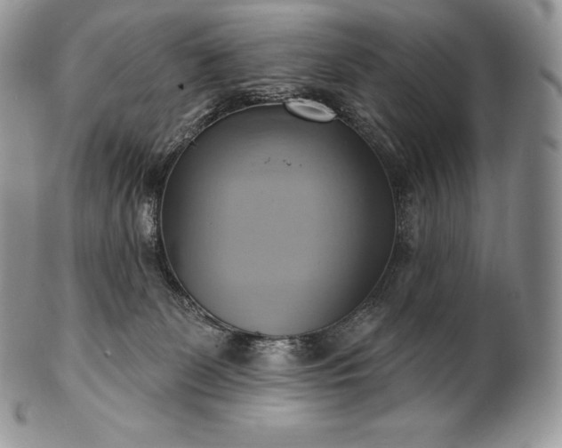 X0000101160131200807071207