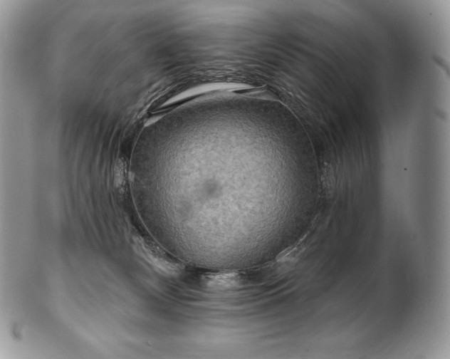 X0000101160132200807071207