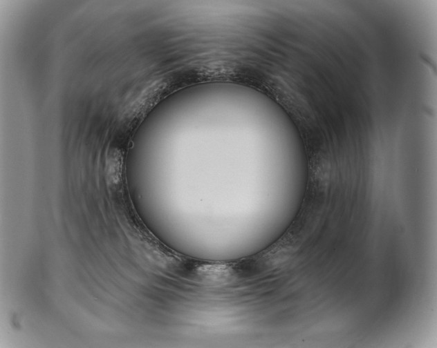 X0000101160133200807071207