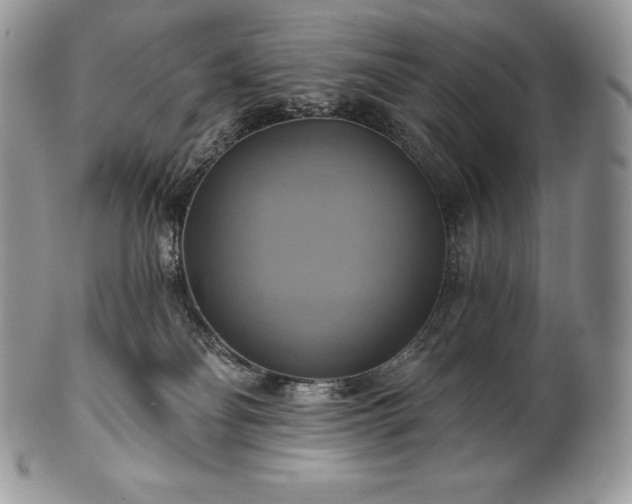 X0000101160134200807071207