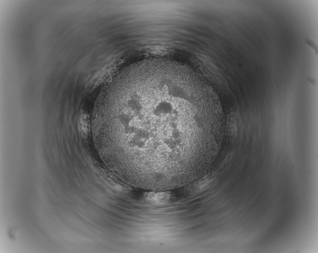 X0000101160135200807071207