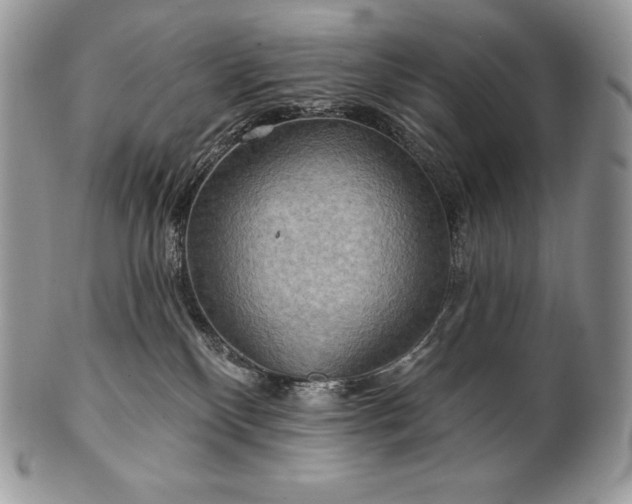 X0000101160136200807071207