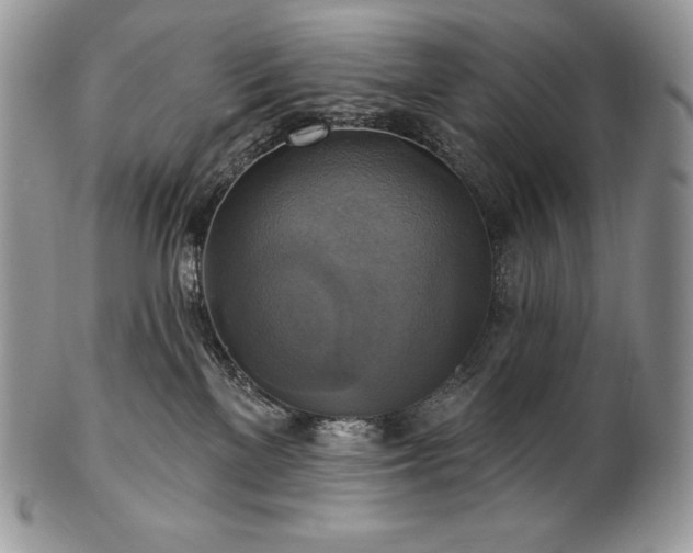 X0000101160137200807071207