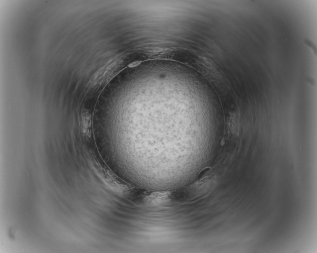 X0000101160138200807071207