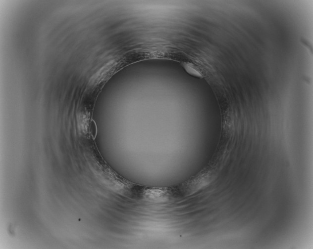 X0000101160139200807071207