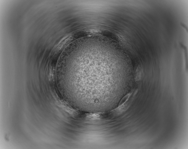 X0000101160140200807071207