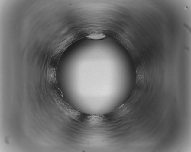 X0000101160141200807071207