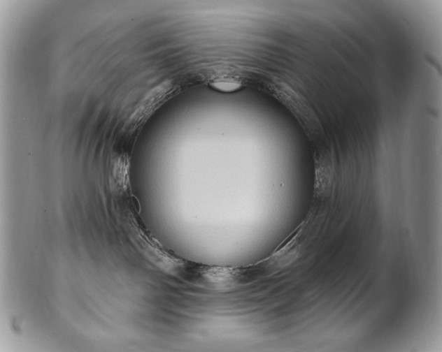 X0000101160142200807071207