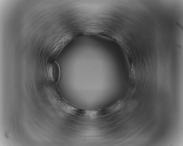 X0000101160143200807071207