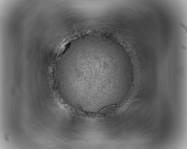 X0000101160144200807071207