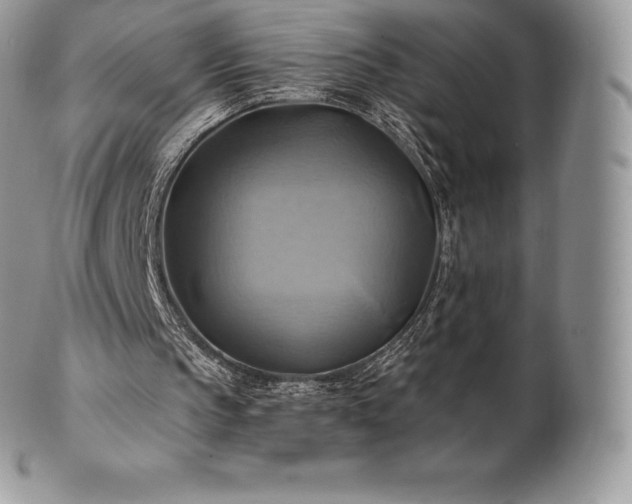 X0000101160145200807071206