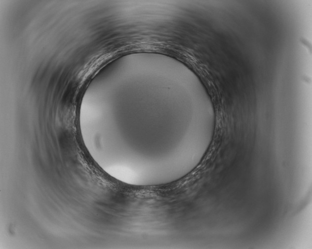 X0000101160146200807071206