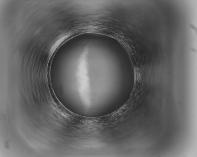 X0000101160147200807071206