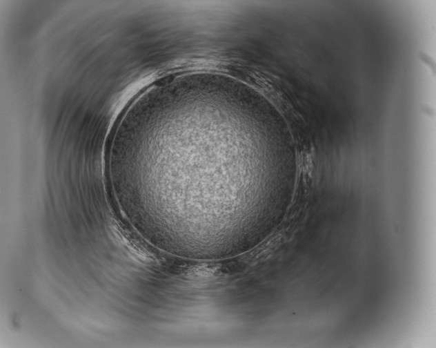 X0000101160148200807071206