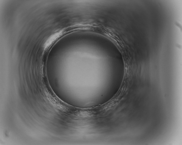 X0000101160149200807071206