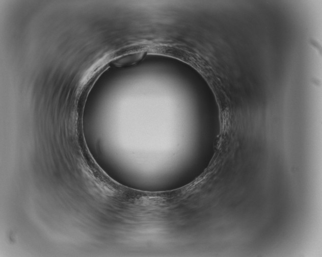 X0000101160150200807071206