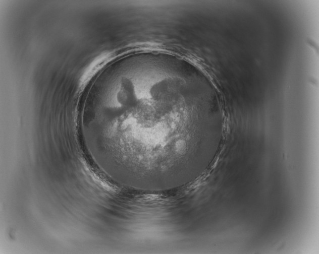 X0000101160151200807071206