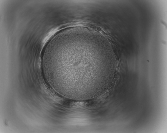 X0000101160152200807071206