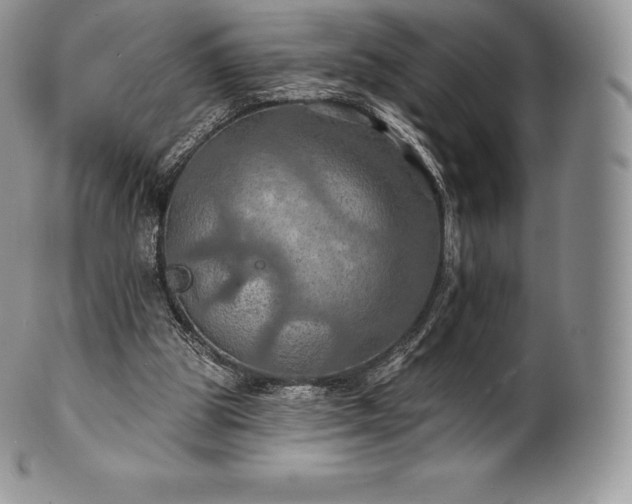 X0000101160153200807071206