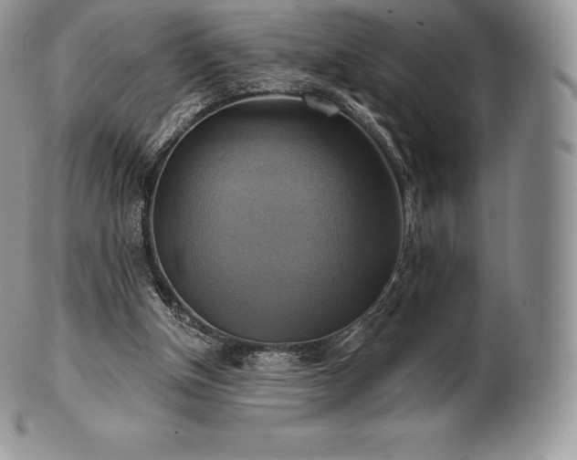 X0000101160154200807071206