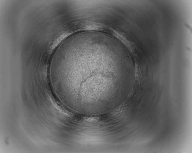 X0000101160155200807071206