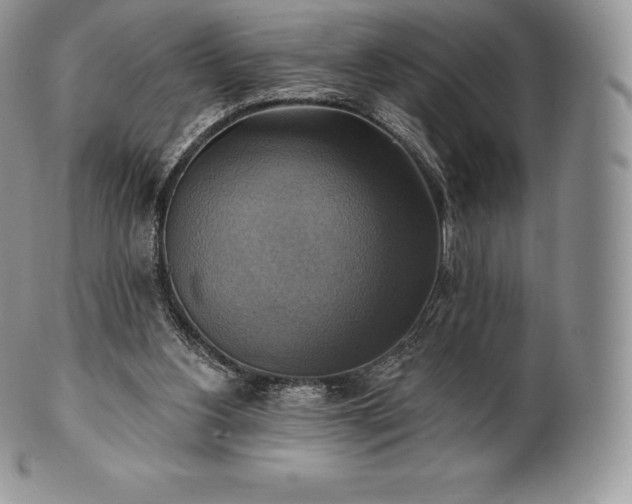 X0000101160156200807071206