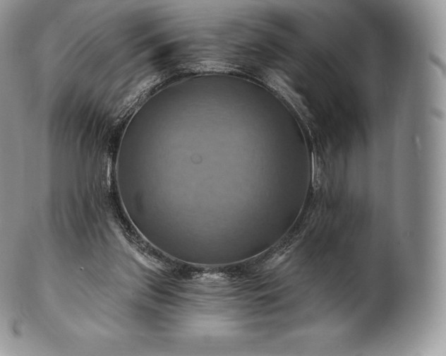 X0000101160157200807071206