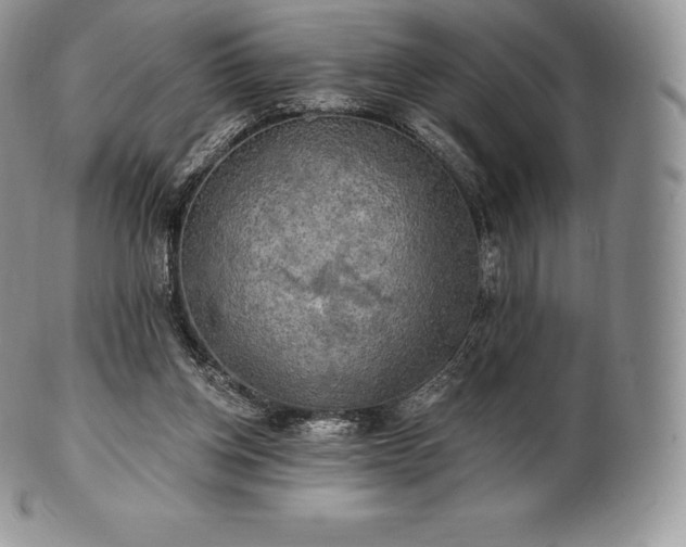 X0000101160158200807071206