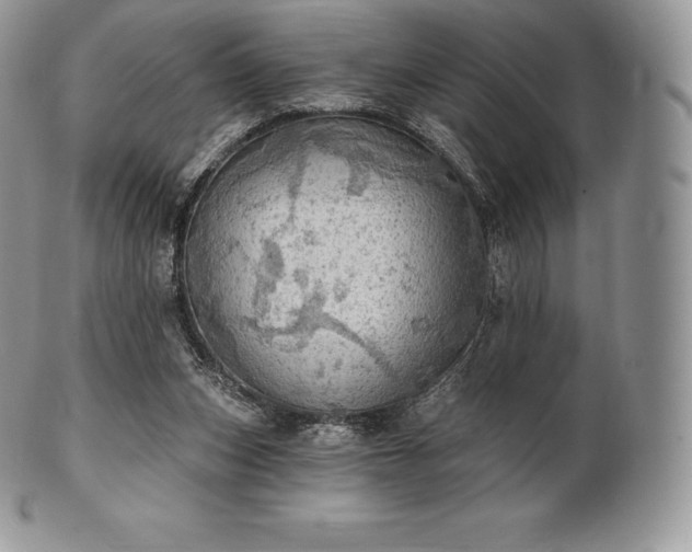 X0000101160159200807071206