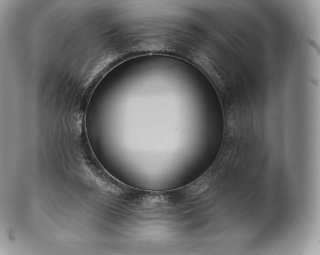 X0000101160160200807071206