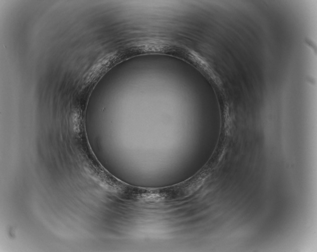 X0000101160161200807071206