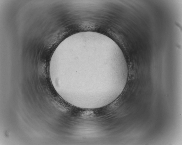 X0000101160162200807071206