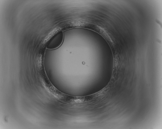 X0000101160163200807071206