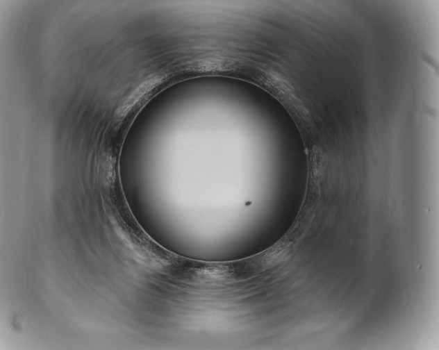 X0000101160164200807071207