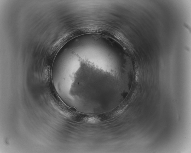 X0000101160165200807071207