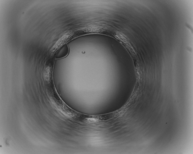 X0000101160167200807071207