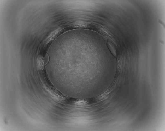 X0000101160168200807071207