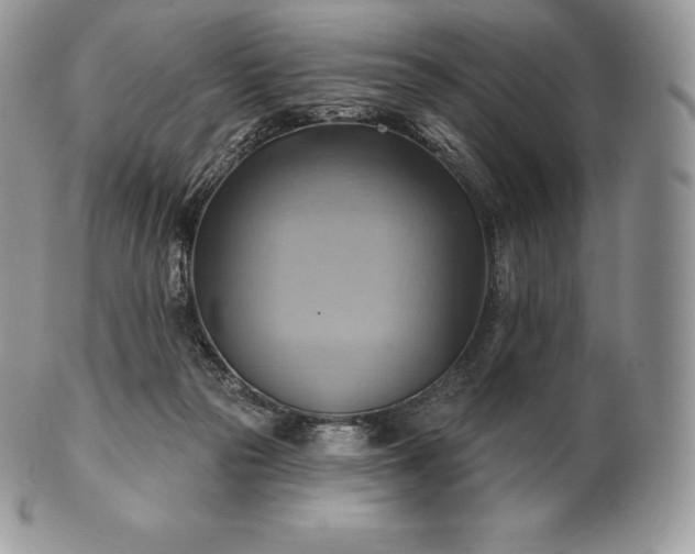 X0000101160169200807071207