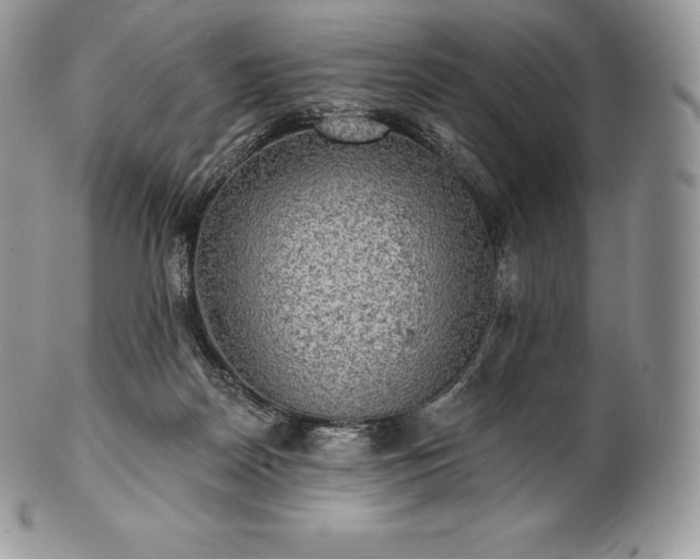 X0000101160170200807071207