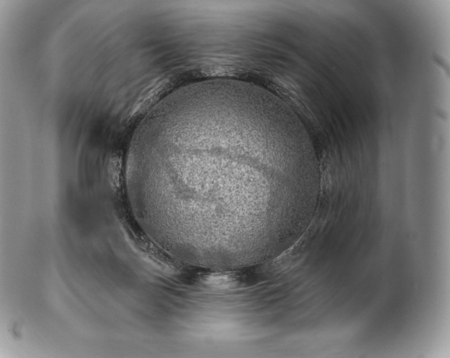 X0000101160171200807071207