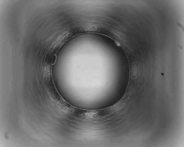 X0000101160172200807071207