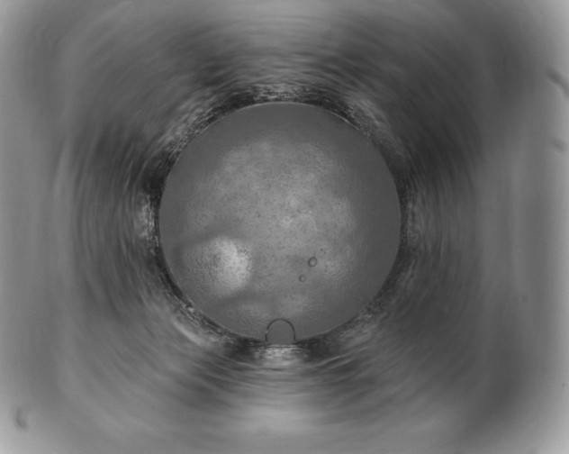 X0000101160173200807071207