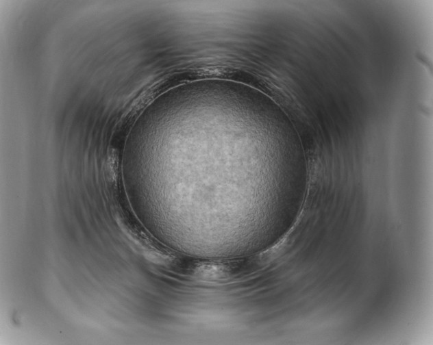 X0000101160174200807071207