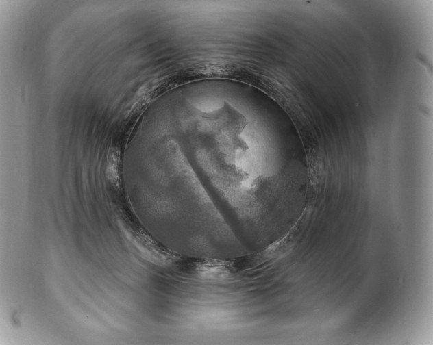 X0000101160175200807071207